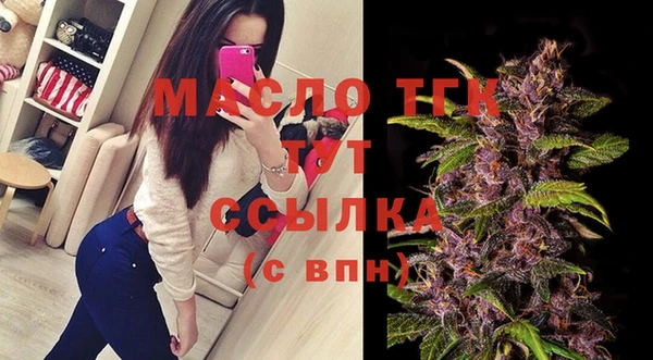 молекула духа Верхний Тагил